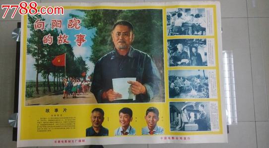 安大略省驾驶证作假